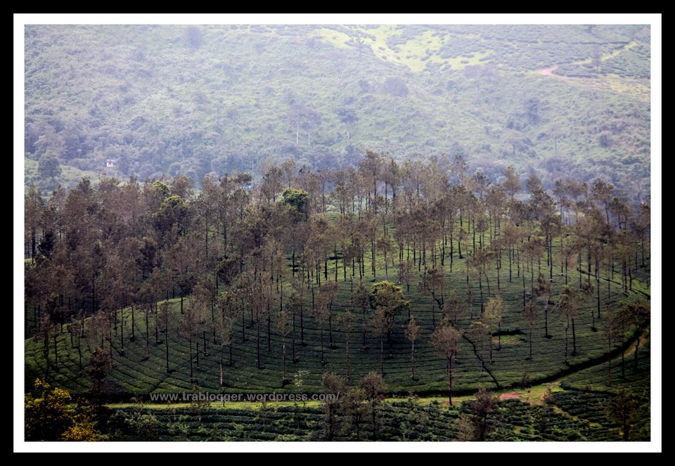 Photo of Postcards from Kerala: A quick photo journey 9/11 by Trablogger