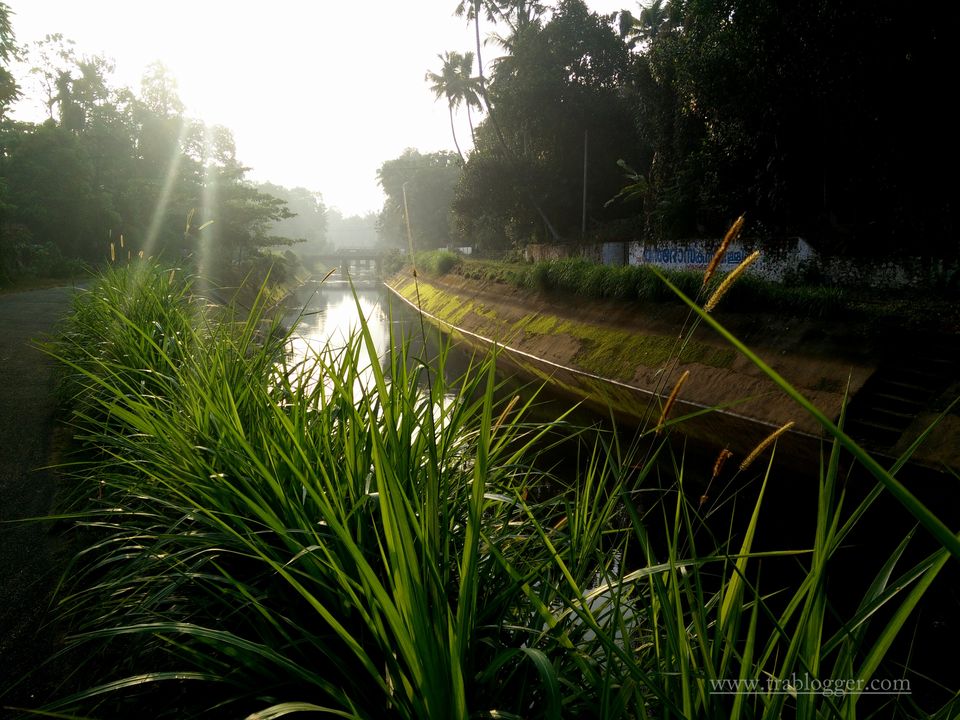 Photo of A memorable bicycle recce to Thattekad Bird Sanctuary by Trablogger