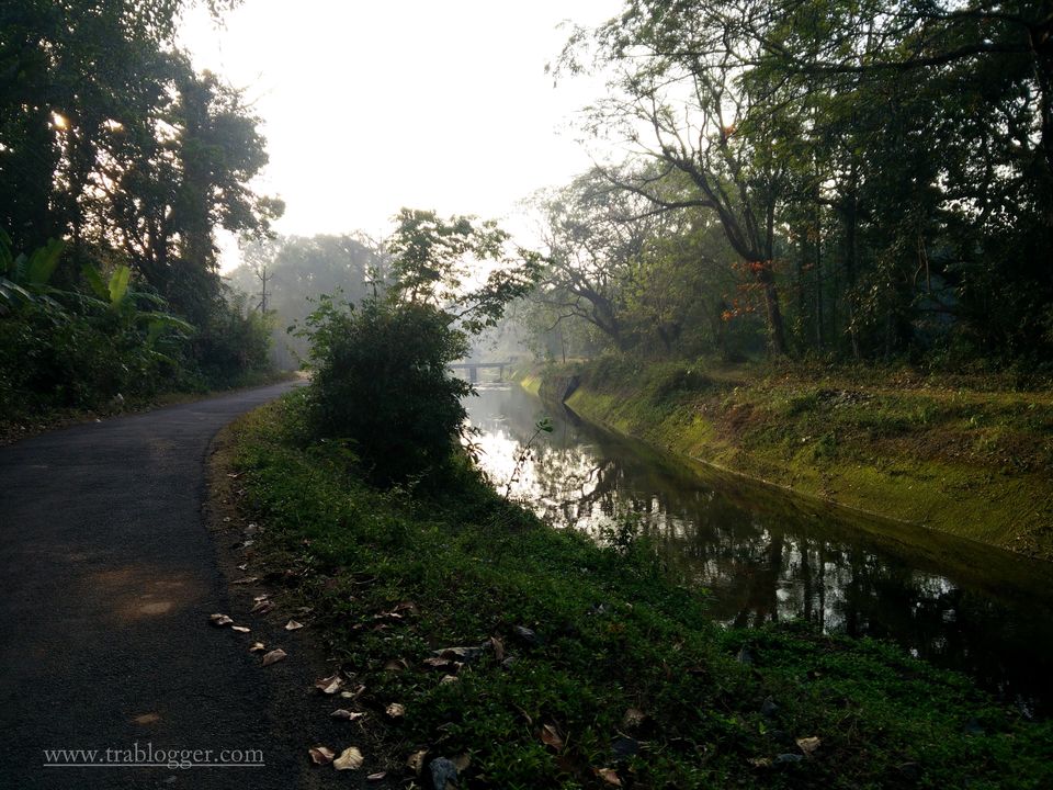Photo of A memorable bicycle recce to Thattekad Bird Sanctuary by Trablogger