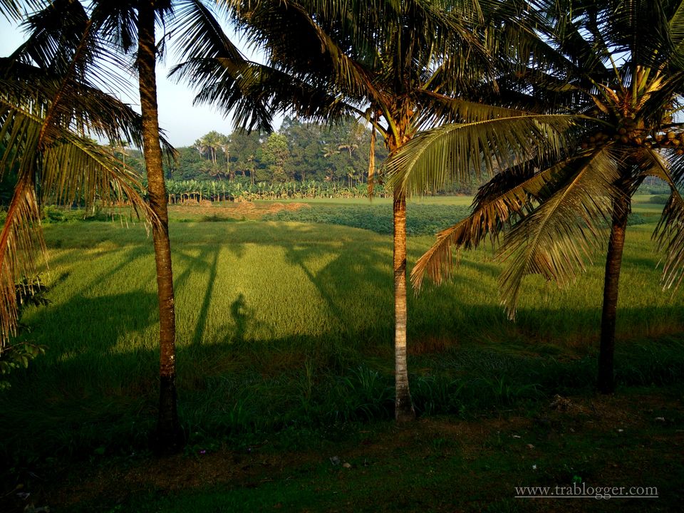 Photo of A memorable bicycle recce to Thattekad Bird Sanctuary by Trablogger