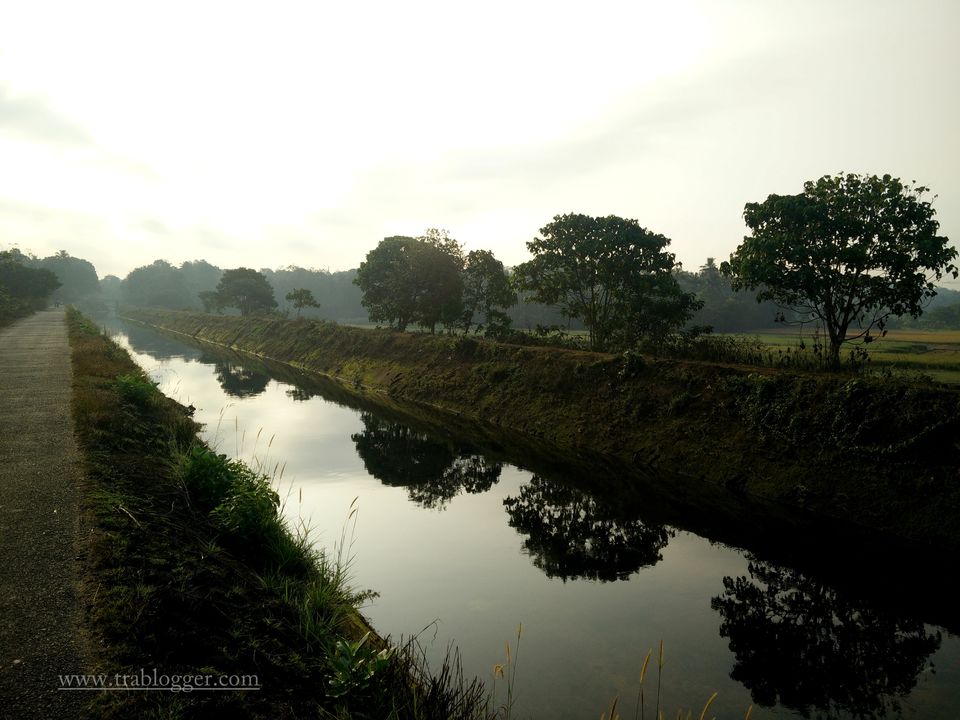 Photo of A memorable bicycle recce to Thattekad Bird Sanctuary by Trablogger