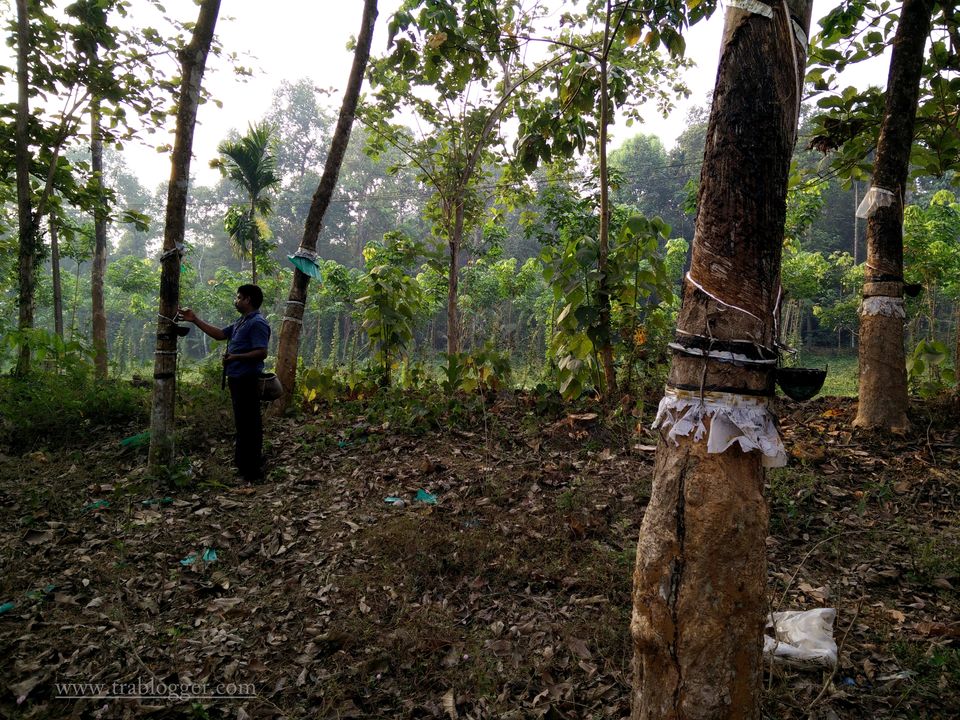 Photo of A memorable bicycle recce to Thattekad Bird Sanctuary by Trablogger