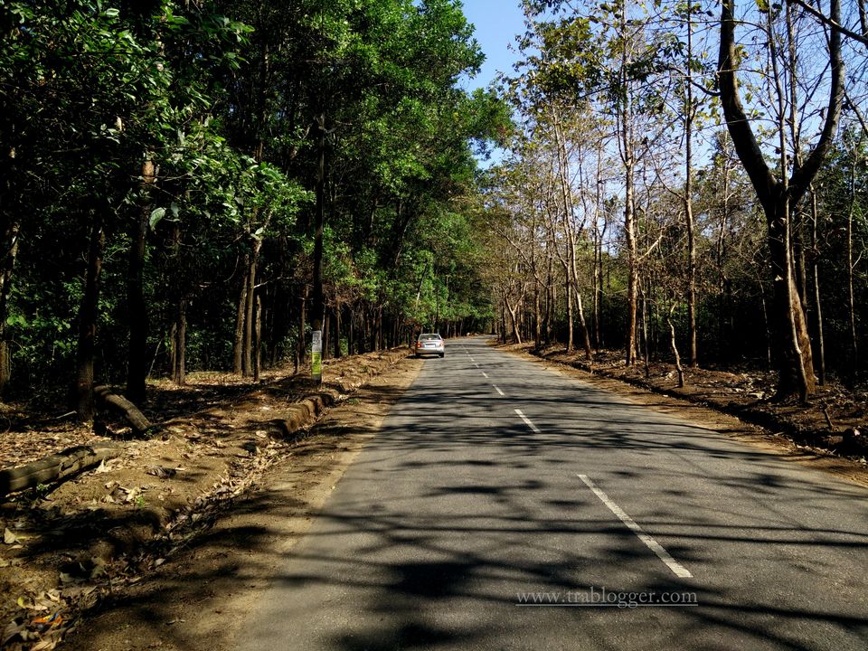 Photo of A memorable bicycle recce to Thattekad Bird Sanctuary by Trablogger