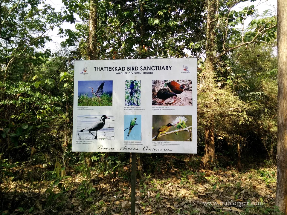 Photo of Thattekad Bird Sanctuary, Thattekad, Kerala, India by Trablogger