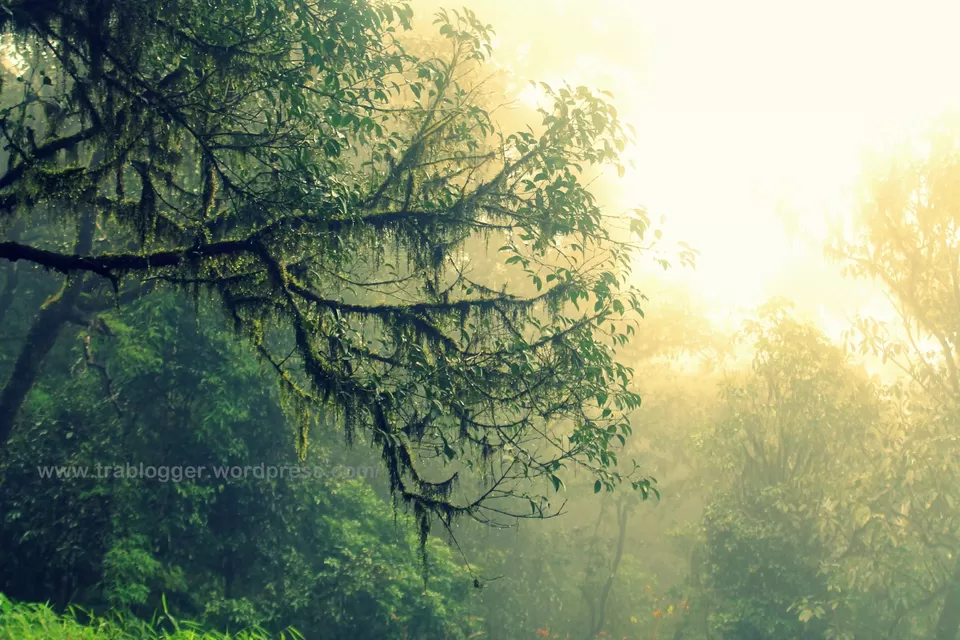 Photo of Kannur, Kerala, India by Trablogger