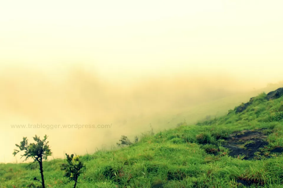 Photo of Vaithalmala : Raining and Trekking, so Rhyming! by Trablogger