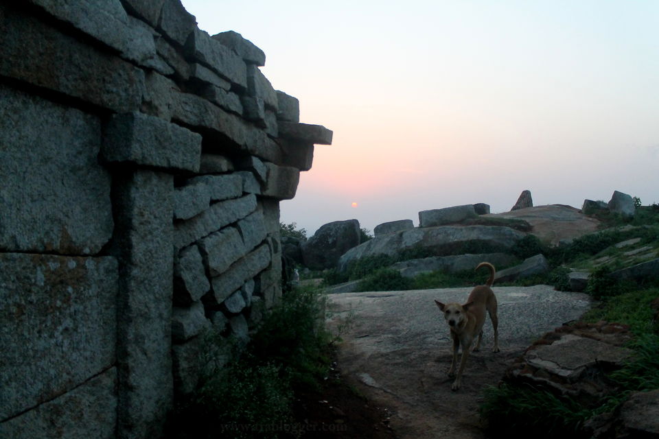 Photo of Skandagiri : A Hike To The Other Side Of The Fear #BestOfTravel by Trablogger