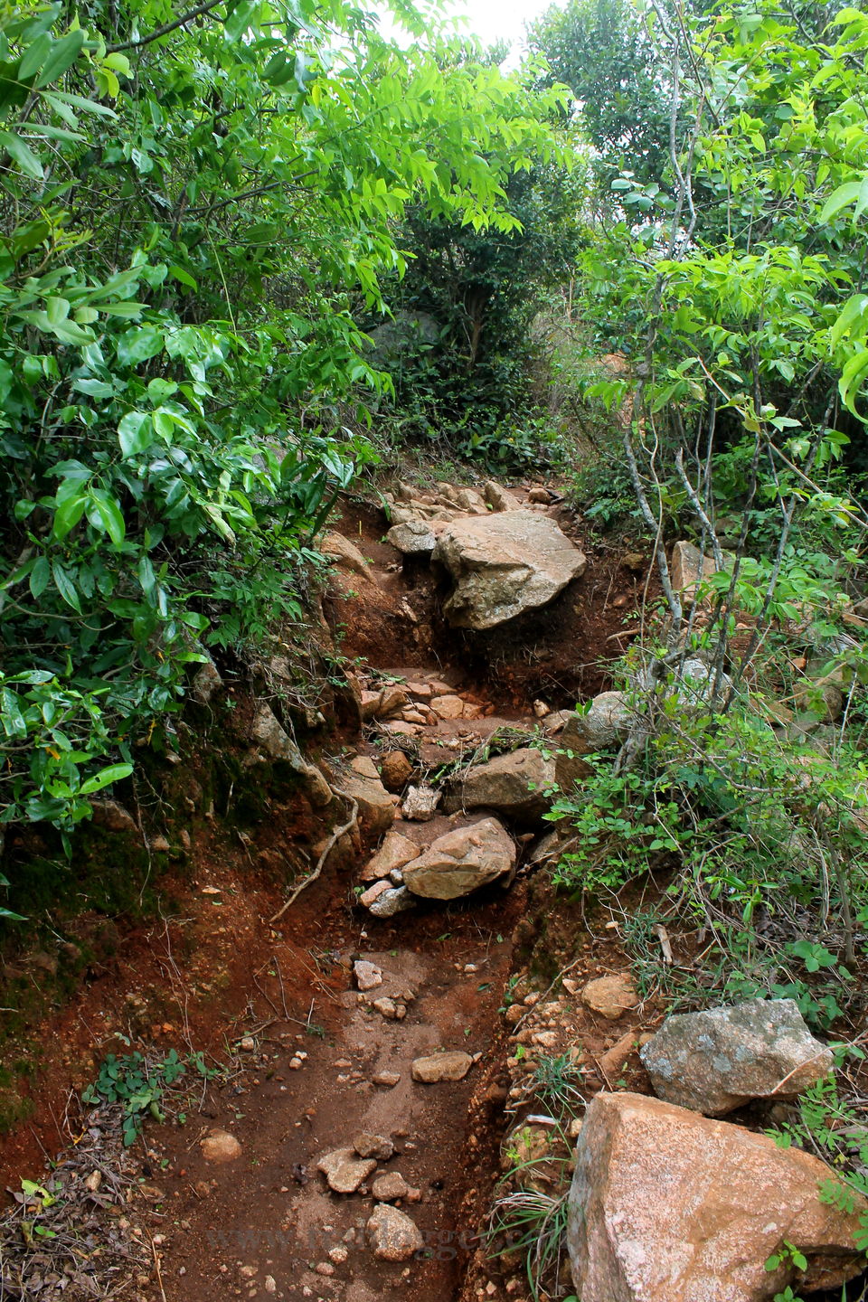Photo of Skandagiri : A Hike To The Other Side Of The Fear #BestOfTravel by Trablogger