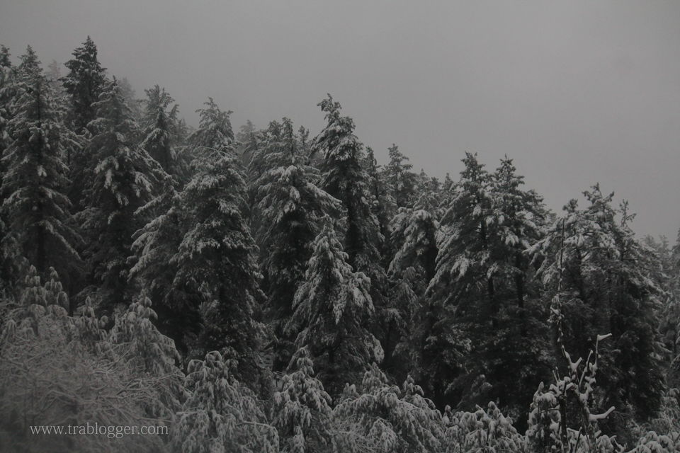 Photo of Trablogger's wandering tales from the Himalayas #TripotoClicksHimalayas 3/3 by Trablogger
