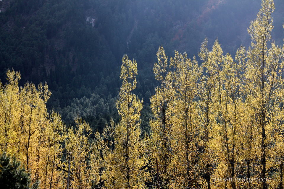 Photo of Trablogger's wandering tales from the Himalayas #TripotoClicksHimalayas by Trablogger