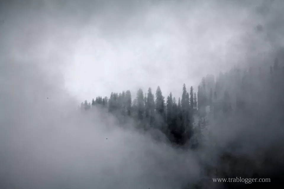 Photo of Manali, Himachal Pradesh, India by Trablogger