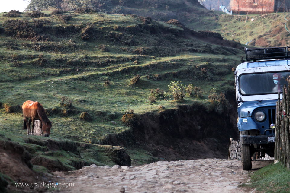 Photo of Trablogger's wandering tales from the Himalayas #TripotoClicksHimalayas by Trablogger