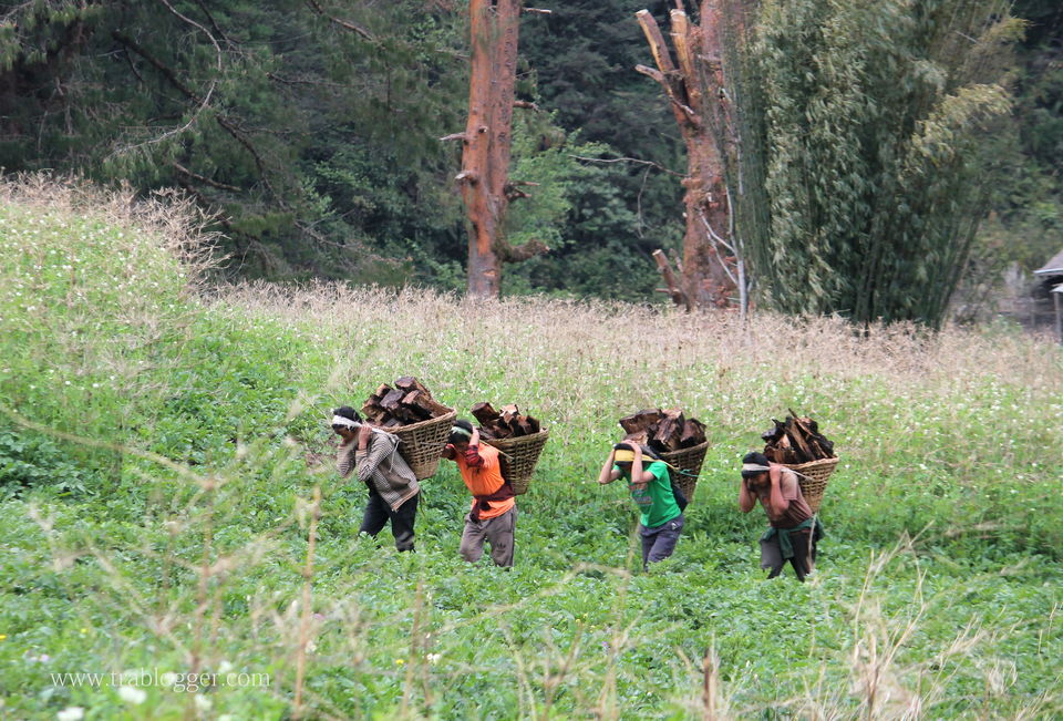 Photo of Trablogger's wandering tales from the Himalayas #TripotoClicksHimalayas by Trablogger