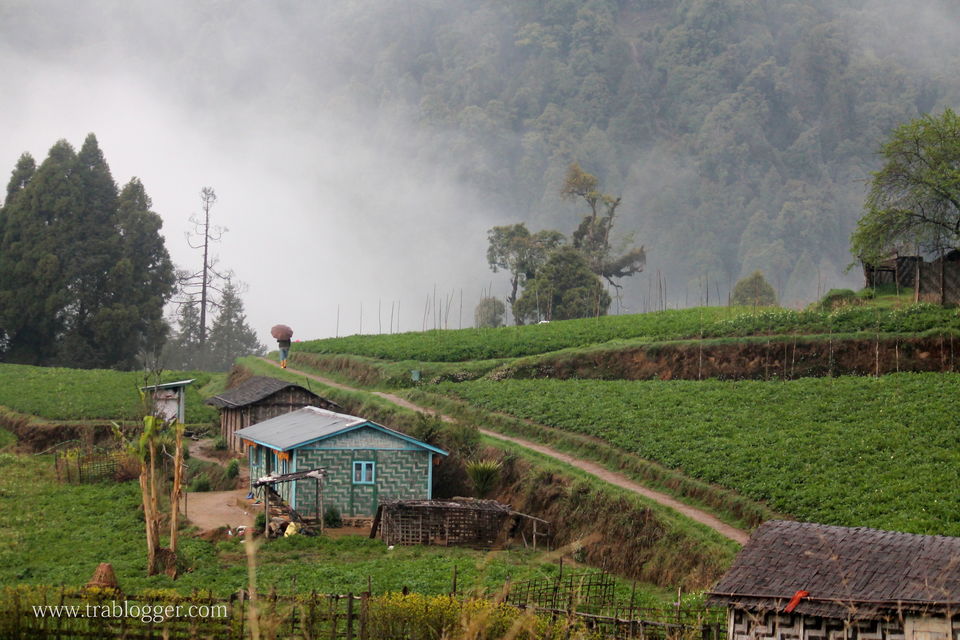 Photo of Trablogger's wandering tales from the Himalayas #TripotoClicksHimalayas by Trablogger