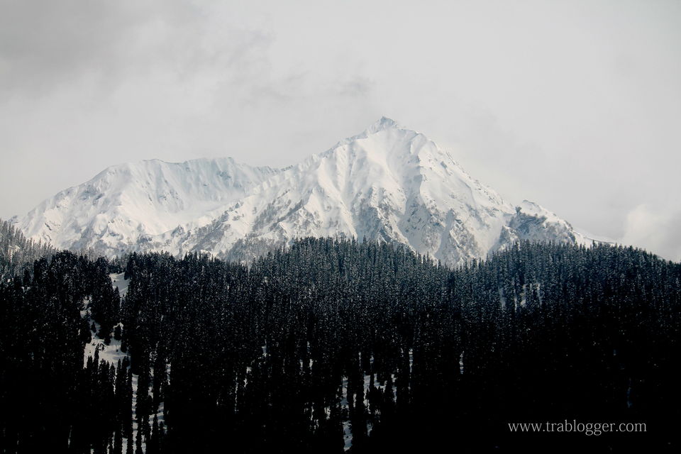 Photo of Trablogger's wandering tales from the Himalayas #TripotoClicksHimalayas by Trablogger