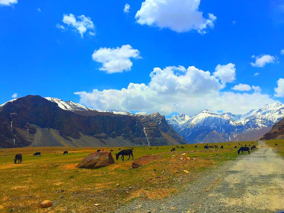 Photo of A drive to remember: Kinnaur, Spiti and Chandertaal by Dhruv Dua