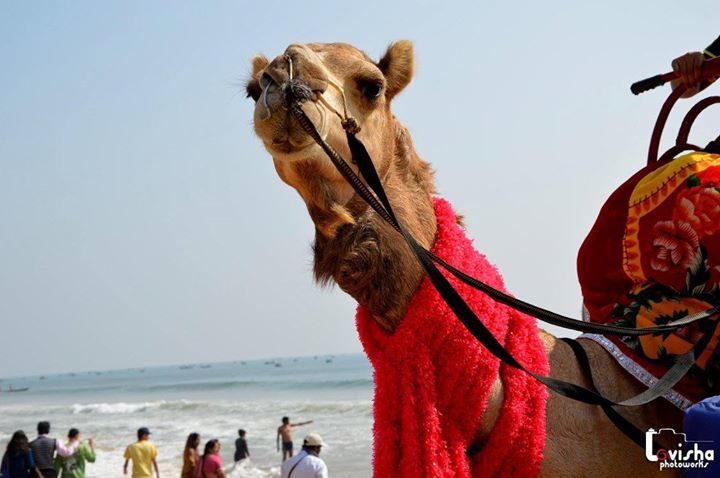 Photo of odisha by Lavisha Chawla
