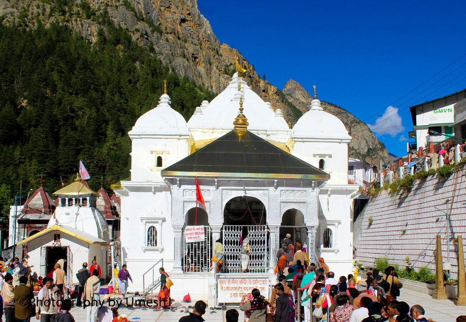 Photo of A Breath-Taking Journey to Gangotri - Gomukh - Tapovan 58/64 by Umesh Joshi - Umi