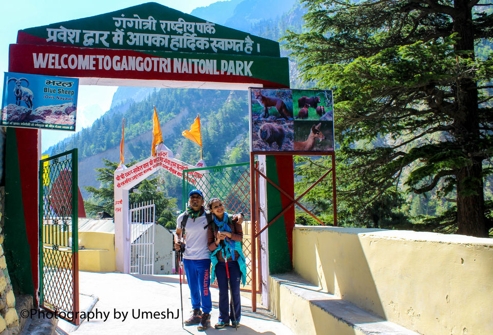 Photo of A Breath-Taking Journey to Gangotri - Gomukh - Tapovan 10/64 by Umesh Joshi - Umi