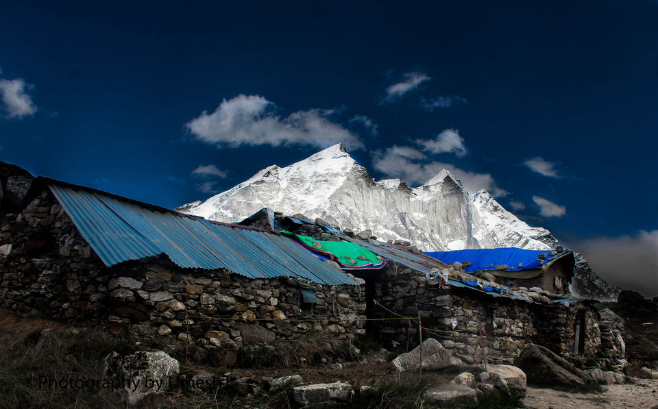 Photo of A Breath-Taking Journey to Gangotri - Gomukh - Tapovan 45/64 by Umesh Joshi - Umi