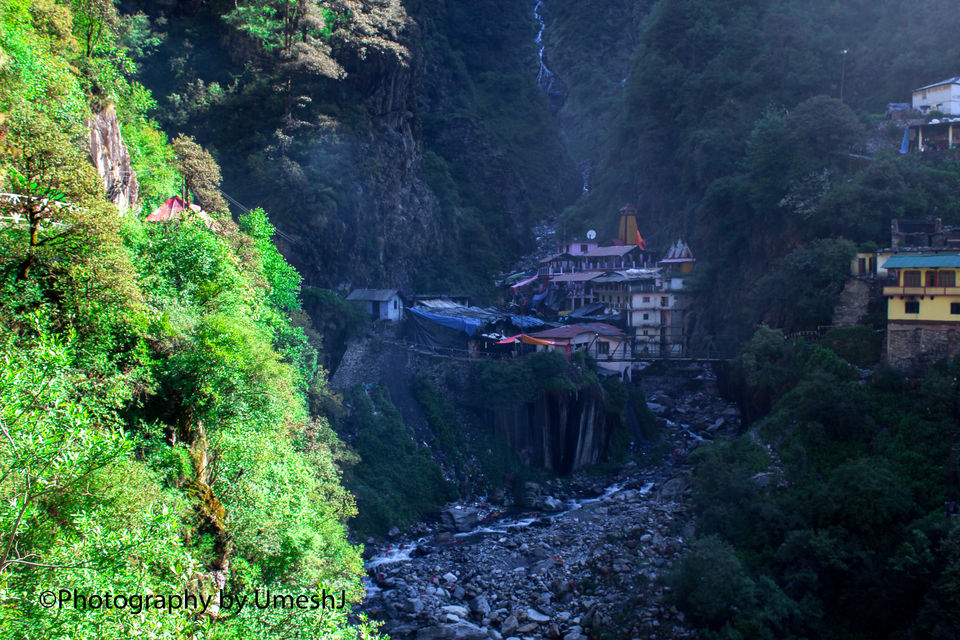 Photo of A Breath-Taking Journey to Gangotri - Gomukh - Tapovan 61/64 by Umesh Joshi - Umi