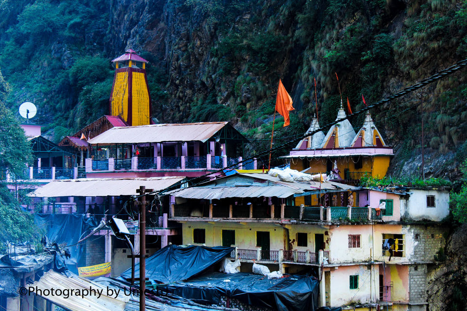 Photo of A Breath-Taking Journey to Gangotri - Gomukh - Tapovan 60/64 by Umesh Joshi - Umi