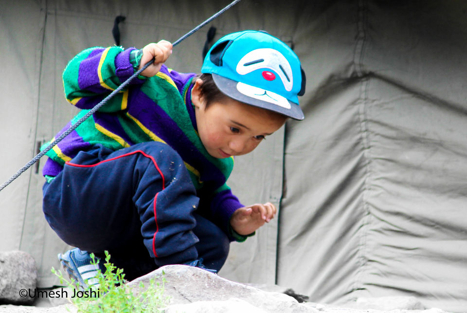 Photo of The Majestic & Beautiful Stok Kangri Summit Journey Through Pictures. 20/97 by Umesh Joshi - Umi
