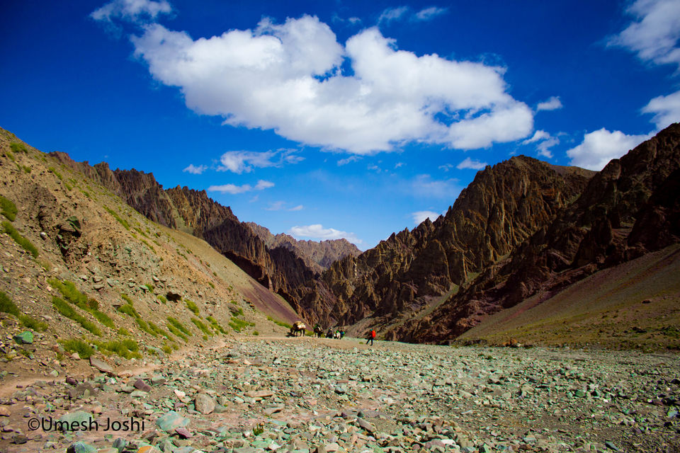 Photo of The Majestic & Beautiful Stok Kangri Summit Journey Through Pictures. 51/97 by Umesh Joshi - Umi