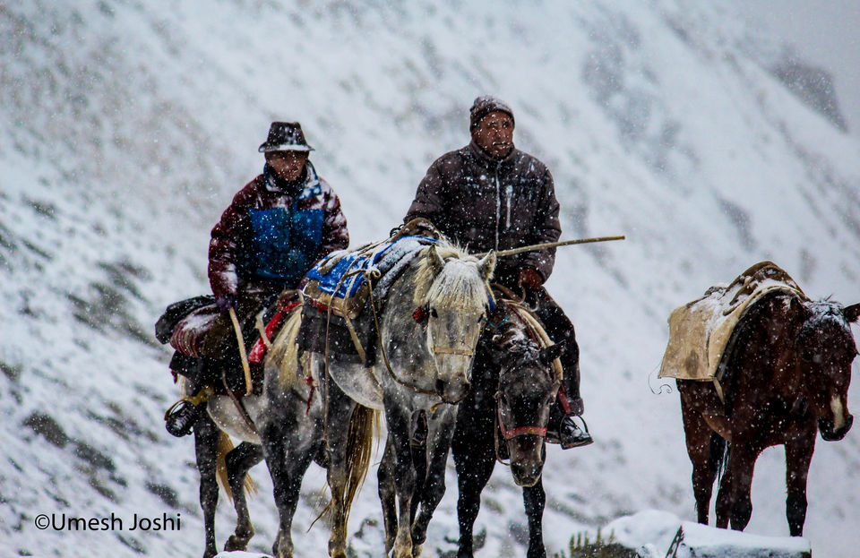 Photo of The Majestic & Beautiful Stok Kangri Summit Journey Through Pictures. 57/97 by Umesh Joshi - Umi