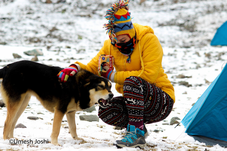 Photo of The Majestic & Beautiful Stok Kangri Summit Journey Through Pictures. 62/97 by Umesh Joshi - Umi