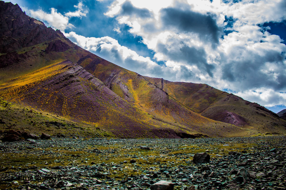 Photo of Stok Kangri - The Highest Trekkable Peak in Himalayas. 3/48 by Umesh Joshi - Umi