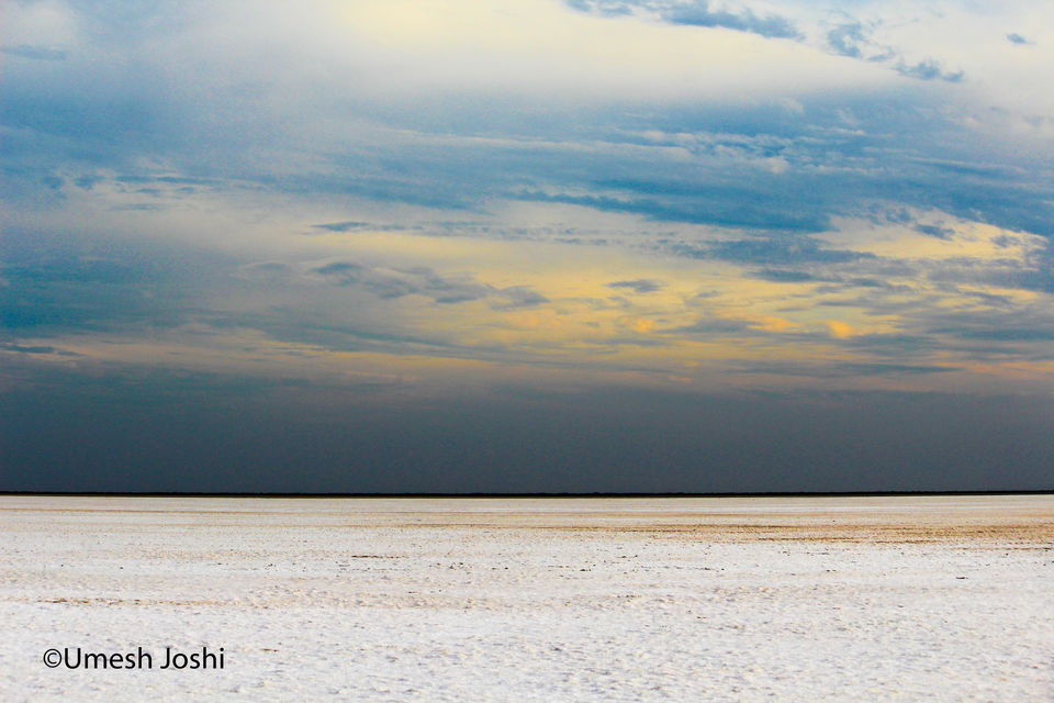 Photo of THE GREAT RANN OF KUTCH 2/27 by Umesh Joshi - Umi