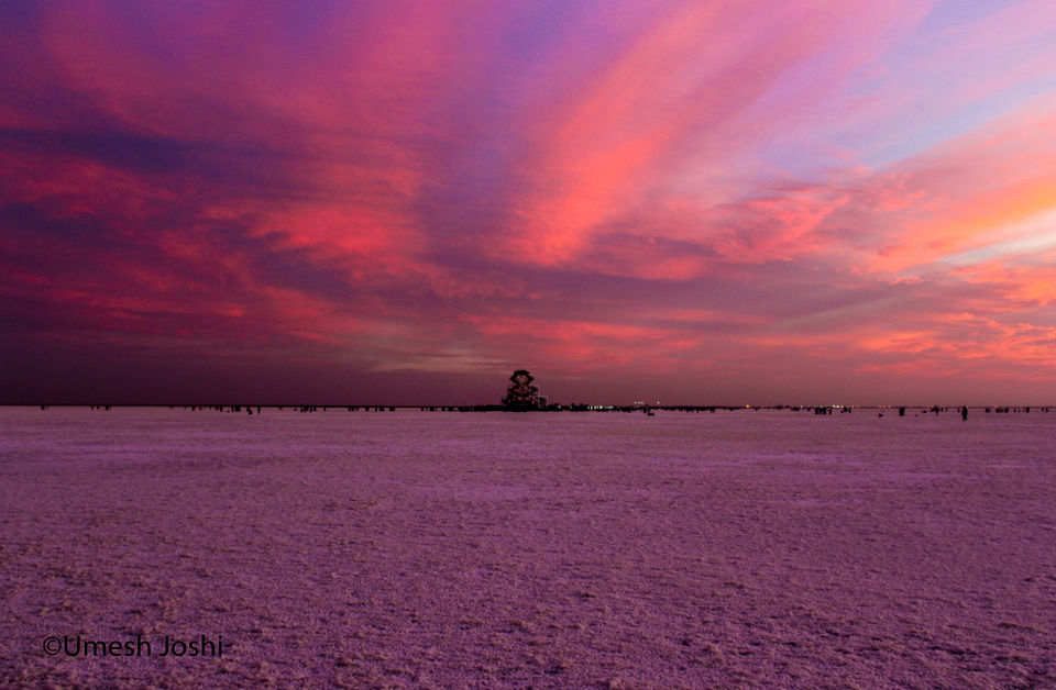 Photo of THE GREAT RANN OF KUTCH by Umesh Joshi - Umi