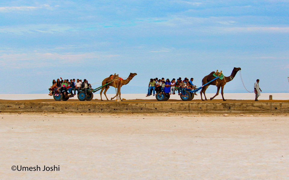 Photo of THE GREAT RANN OF KUTCH 5/27 by Umesh Joshi - Umi