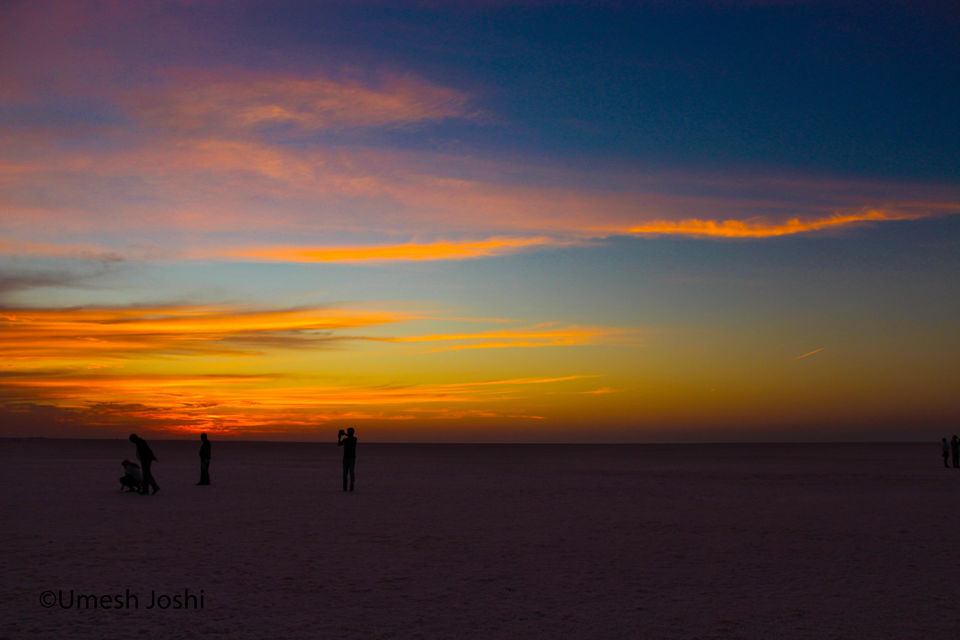 Photo of THE GREAT RANN OF KUTCH 9/27 by Umesh Joshi - Umi