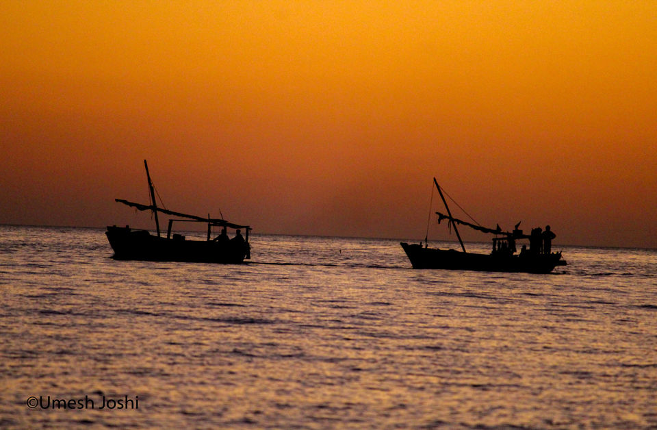 Photo of THE GREAT RANN OF KUTCH 26/27 by Umesh Joshi - Umi