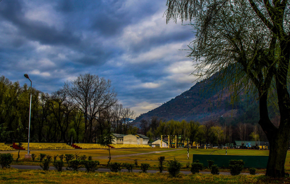 Photo of Mysterious Parashar Lake – A Floating Island 21/25 by Umesh Joshi - Umi