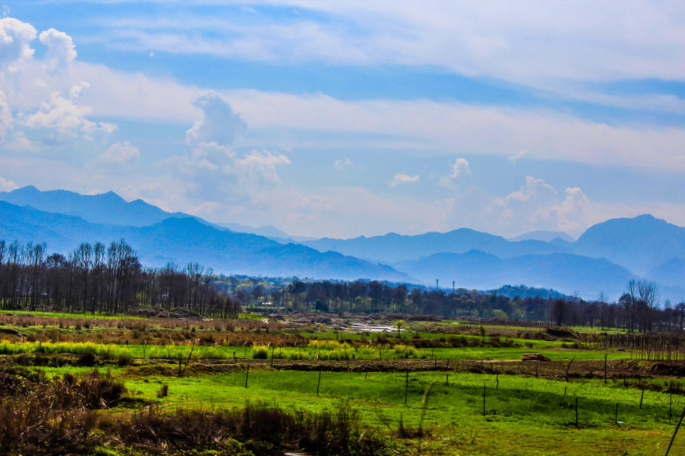 Photo of Mysterious Parashar Lake – A Floating Island 25/25 by Umesh Joshi - Umi