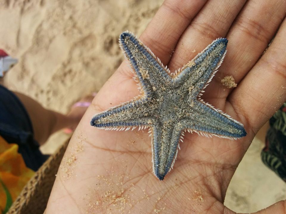 Photo of Why Goa Pleases Every Kind of Traveller 11/11 by Hannah Kagalwala