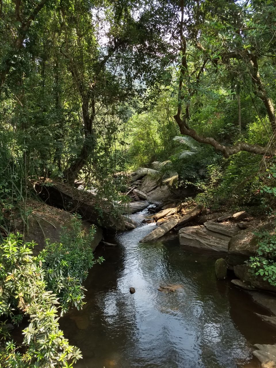 Photo of Trek to Bandaje Arbi falls, but with a twist. #westernghatsinphotos by Albert D'Souza
