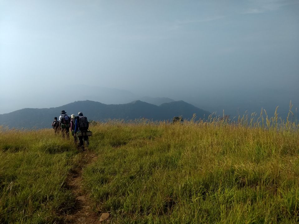 Photo of Trek to Bandaje Arbi falls, but with a twist. #westernghatsinphotos by Albert D'Souza