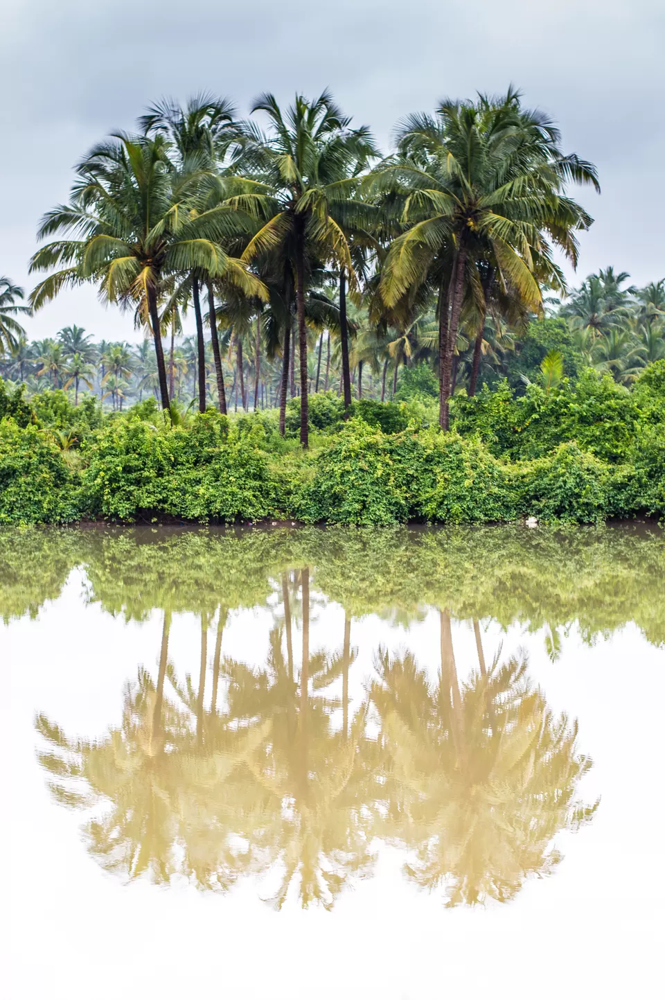 Photo of Mandrem, Goa, India by Albert D'Souza