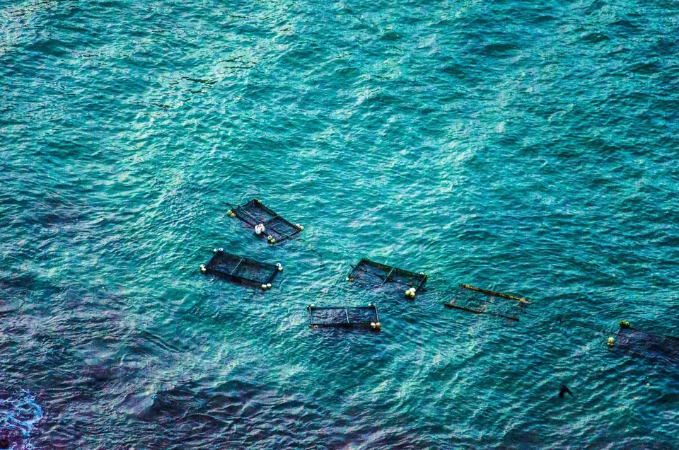 Photo of Dondra, Sri Lanka by Padmanabhan Thangaraj