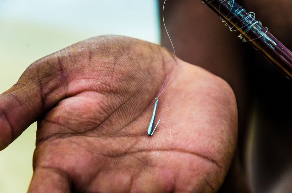Photo of The Rest of Srilanka by Padmanabhan Thangaraj