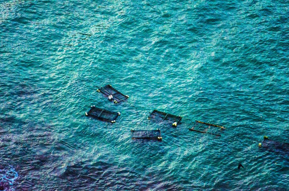 Photo of The Rest of Srilanka by Padmanabhan Thangaraj
