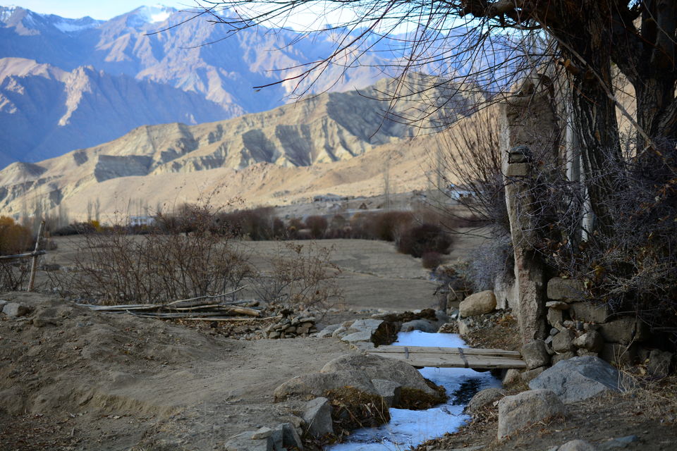 Photo of Likir by Soumik Neogi