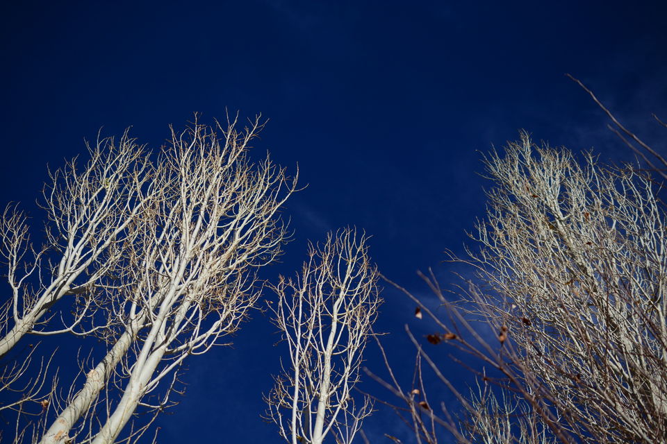 Photo of Experiencing Ladakh in winters! by Soumik Neogi