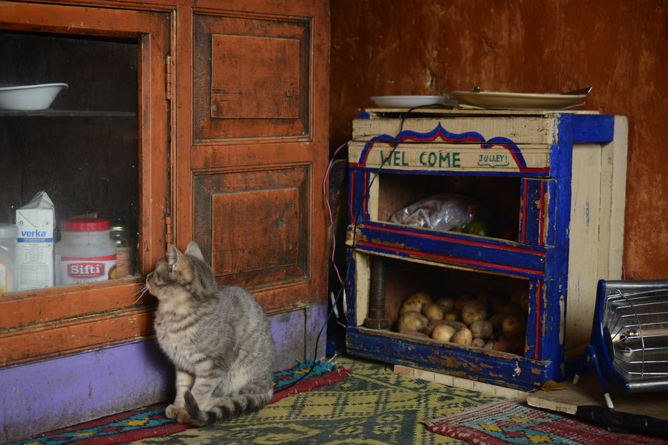 Photo of Experiencing Ladakh in winters! by Soumik Neogi