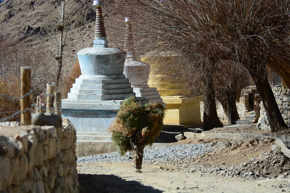 Photo of Experiencing Ladakh in winters! by Soumik Neogi