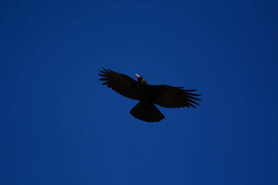 Photo of Likir by Soumik Neogi